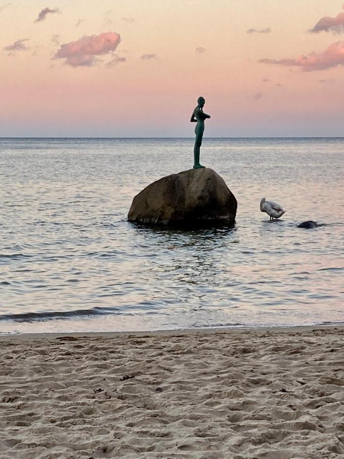 Strandhaus Manatee Mit Sauna Und Kamin Sellin  Dış mekan fotoğraf